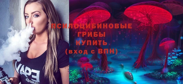 ГАЛЛЮЦИНОГЕННЫЕ ГРИБЫ Киреевск