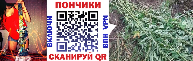 Бошки Шишки гибрид  Любань 